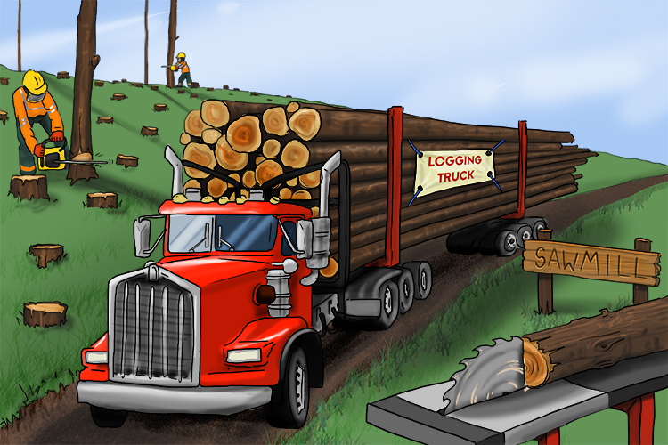 Logging is the process of cutting down trees and moving the logs from the forest to the sawmills.